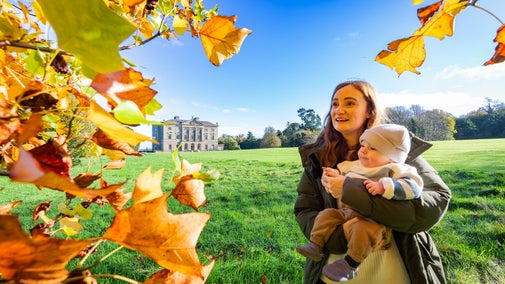 autumn-castle-ward